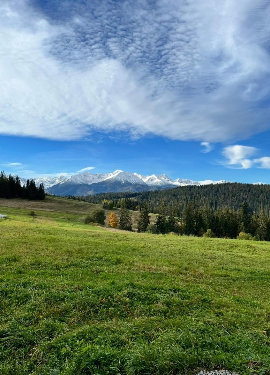 ブコビナ・タトシャンスカTatra Widokアパートメント エクステリア 写真